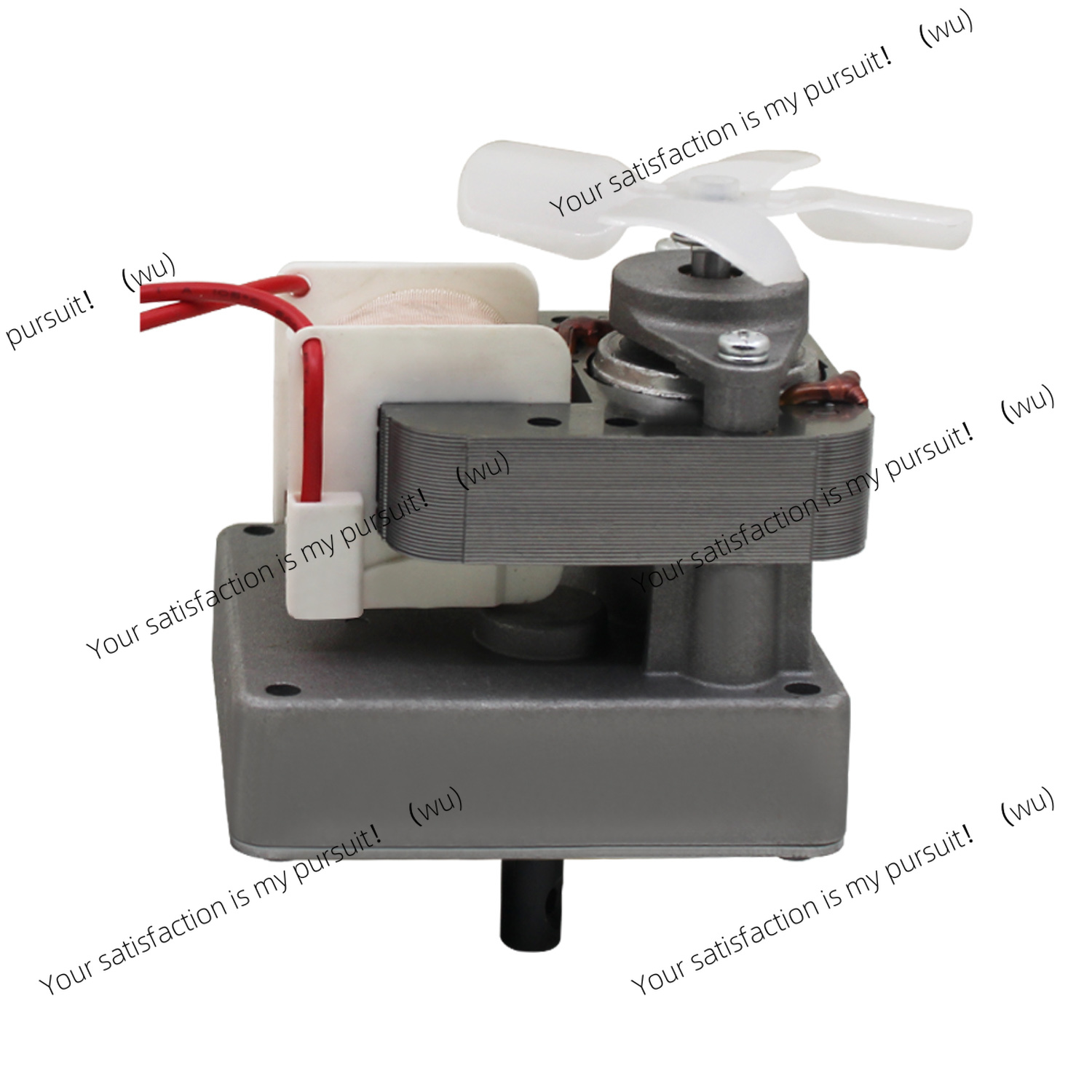 220V 2.0 rpm Yedek Burgu Motor - Electric Smoker Bbq incelemesi ve fiyatı