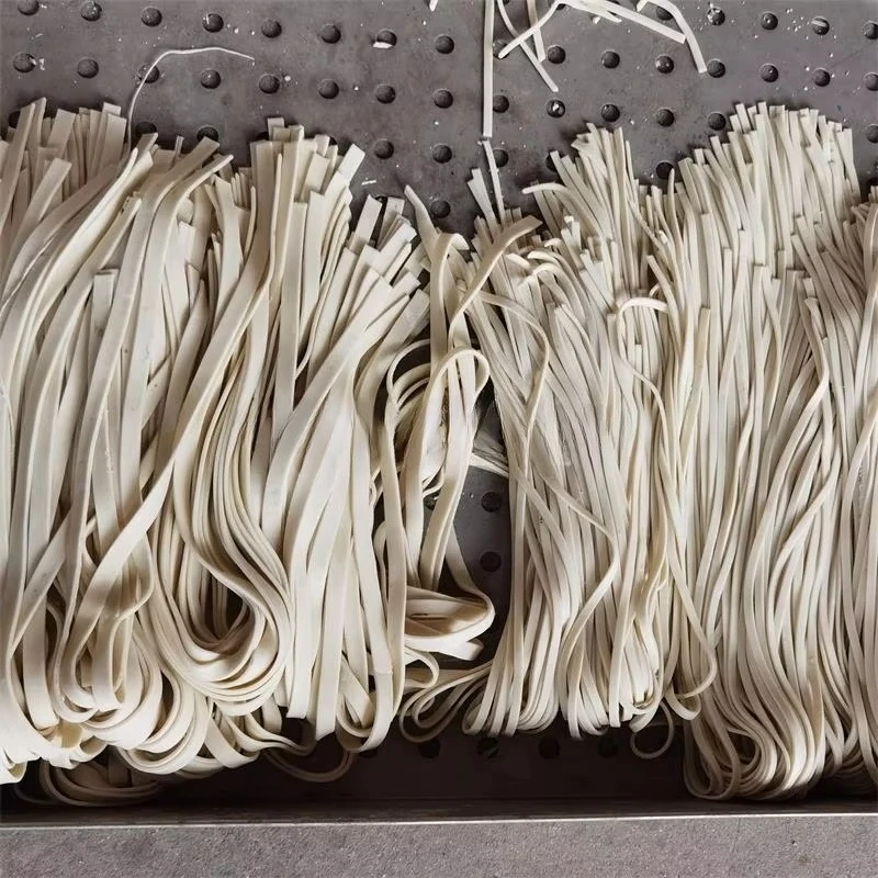 Akıllı Erişte Yapma Makinesi M - Pasta Machine Electric incelemesi ve fiyatı
